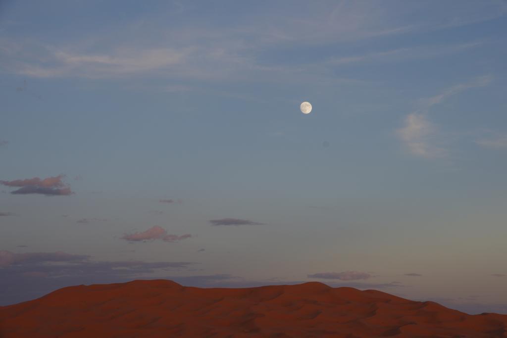 ホテル Sahara Camel Tours Camp メルズーガ エクステリア 写真