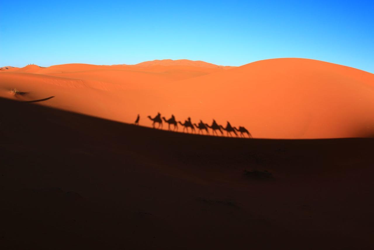ホテル Sahara Camel Tours Camp メルズーガ エクステリア 写真