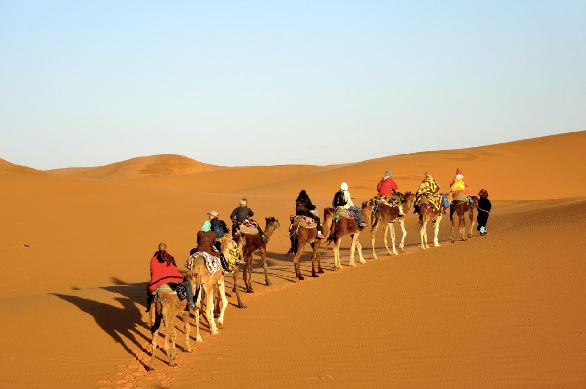 ホテル Sahara Camel Tours Camp メルズーガ エクステリア 写真