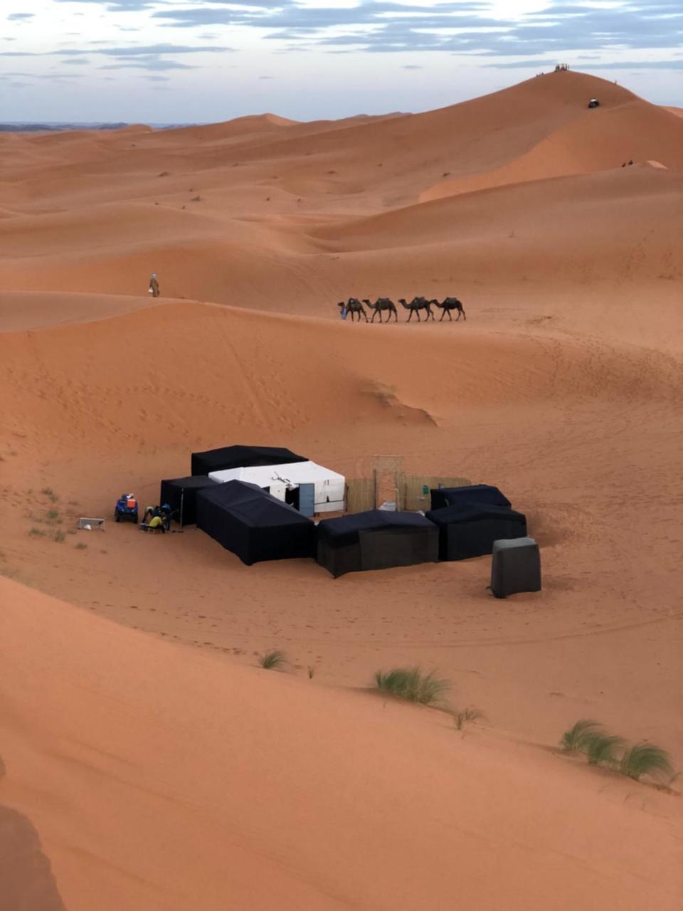ホテル Sahara Camel Tours Camp メルズーガ エクステリア 写真
